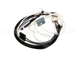 1004F-2054 Rinnai Motor Lead Assy B (See Notes) 263