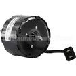 100599G Pems Oem Replacement Motor