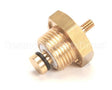 10060051 Rancilio Antivacuum Valve For Temp. Sen