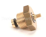 10060051 Rancilio Antivacuum Valve For Temp. Sen