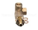 10060406 Rancilio Expansion Valve Miss