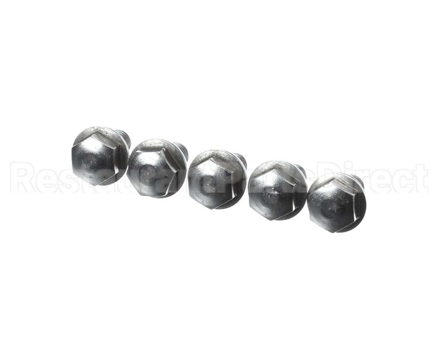 1008.0768P Rational Ornamental Screw M8X16