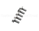 1008.0768P Rational Ornamental Screw M8X16
