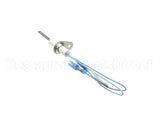 10080-02601A Vanguard Igniter, Assembly