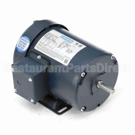 100961 Leeson Motor