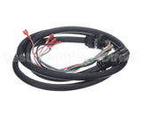 100969 Blodgett Cord, Vlf/Vlh To Top, Qc