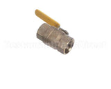 100FV Dormont 1 Fip X 1 Fip (Full Port Valve)