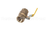 100FVR Dormont 1 In. Full Port Valve