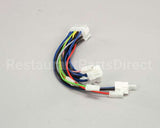 10110270 Rancilio Board Wiring De 1Gr