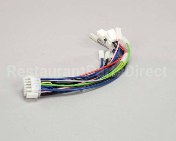 10110270 Rancilio Board Wiring De 1Gr