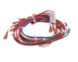 101130 Groen Hy-6E 240V Contactor And