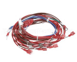 101130 Groen Hy-6E 240V Contactor And