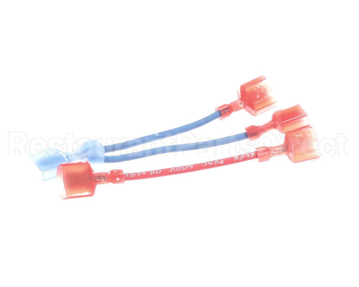 101313 Blodgett Wire Kit