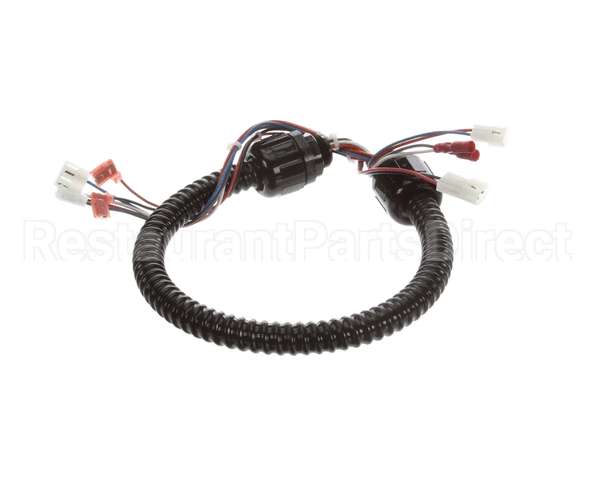 1015-V2-2 Globe Harness A3875, A3750