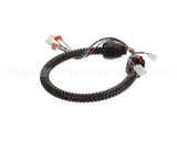 1015-V2-2 Globe Harness A3875, A3750