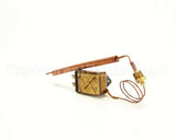 101542 Groen Thermostat Kit