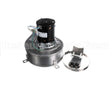 101559 Blodgett Blower Assy,Hoodini W/Cap 120V