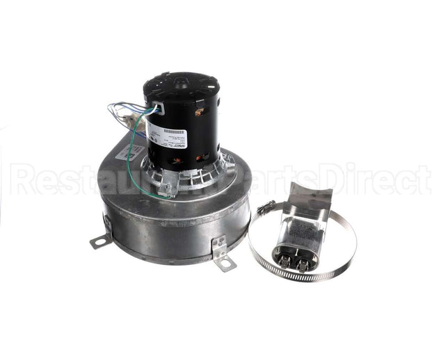 101559 Blodgett Blower Assy,Hoodini W/Cap 120V