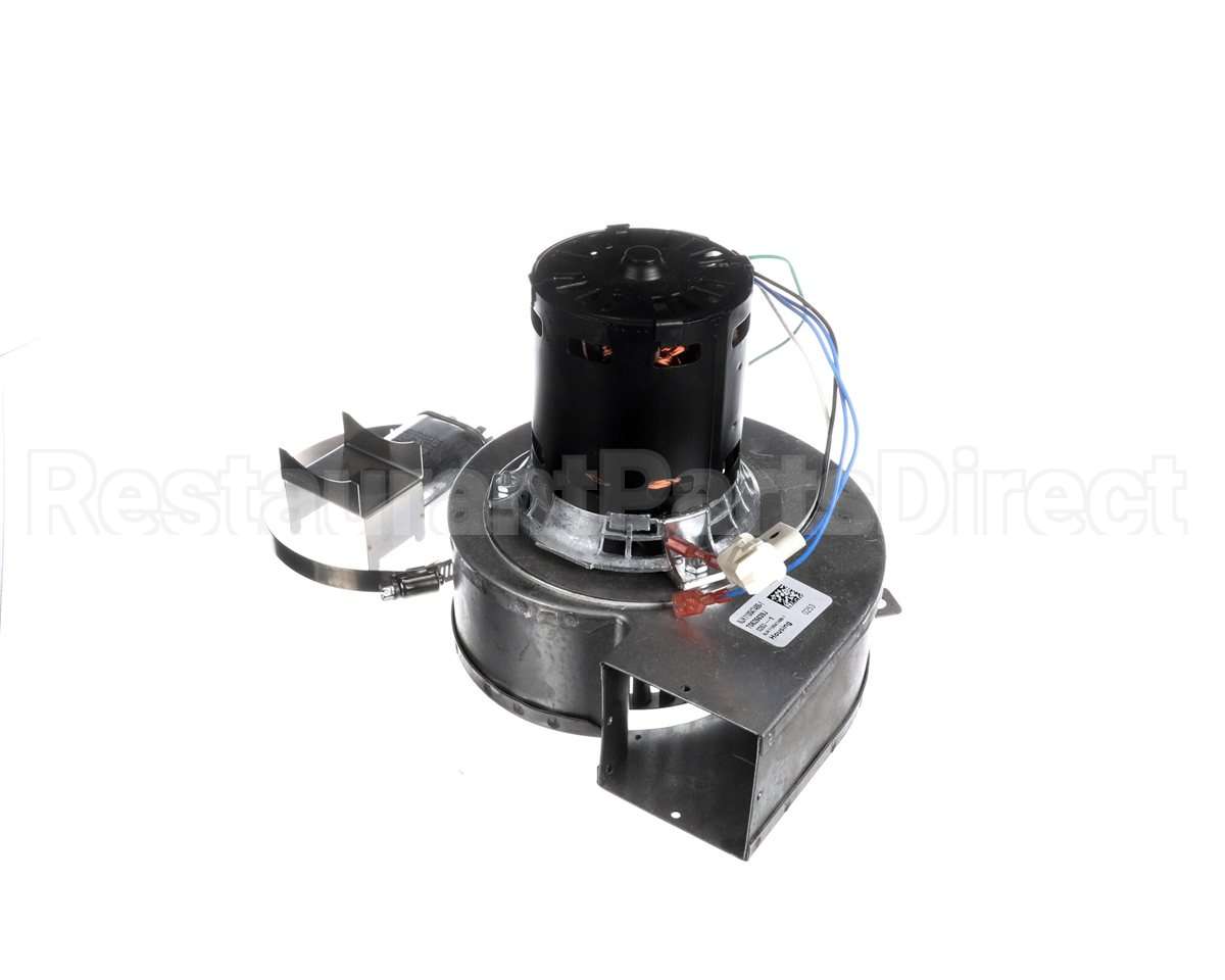 101559 Blodgett Blower Assy,Hoodini W/Cap 120V