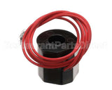 10219 Gaylord 120V Coil For 1 Up Gas Soleno