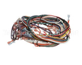 102213 Groen Harness Wire
