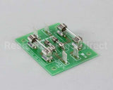 102220 Groen Fuse Board Assembly