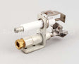 102258 Groen Pilot Burner Asm Natural
