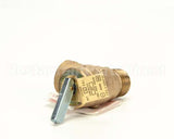 102297 Groen Valve Safety Relief 15 Psi