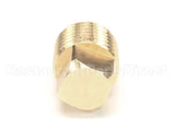 102500 Champion - Moyer Diebel Plug 1/4Npt Brass