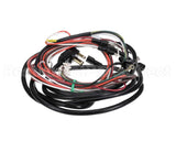 1026161 Perlick Main Wire Harness