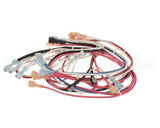 104189 Cleveland Harness, Wire, Conv Steamer; Ncc Timer