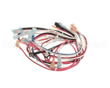 104189 Cleveland Harness, Wire, Conv Steamer; Ncc Timer