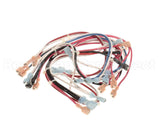 104189 Cleveland Harness, Wire, Conv Steamer; Ncc Timer