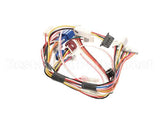 105000035 Rinnai Sensor Harness/ R94-Lsi
