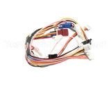 105000035 Rinnai Sensor Harness/ R94-Lsi