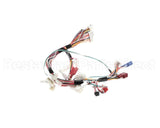 105000103 Rinnai Sensor Harness, Rc98Hpi
