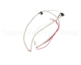105000104 Rinnai Thermal Fuse Harness Assembly, Rc