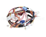 105000164 Rinnai Sensor Harness-2