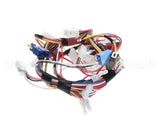 105000164 Rinnai Sensor Harness-2