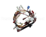 105000173 Rinnai Sensor Harness-1 Ru8098I Kb