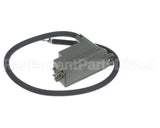 105000230 Rinnai Iginitor Assy.