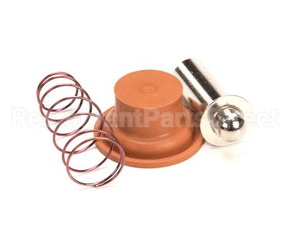 1057.00009.00 Fetco Valve Rebuild Kit, Dsv10