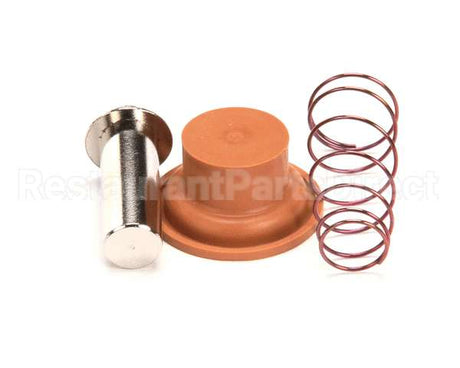 1057.00009.00 Fetco Valve Rebuild Kit, Dsv10