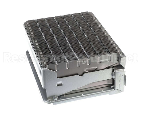 106000012 Rinnai Burner Unit Asy (Ng)