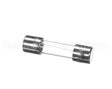 1060860 Prince Castle Fuse 2A 250V (Ea)