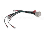 1061804SP Frymaster Harness Assembly, 240V Modular B/L