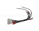 1061804SP Frymaster Harness Assembly, 240V Modular B/L