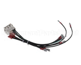 1061804SP Frymaster Harness Assembly, 240V Modular B/L