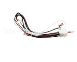 1063316SP Frymaster Harness Assembly,Fpph350 Transformer/Flt