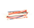 1065750SP Frymaster Harness Assembly, Re Fv Controls